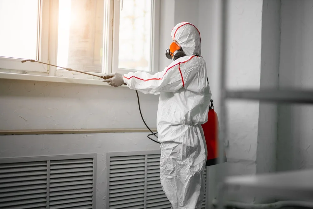 Professional mold remediation services in Schererville, IN